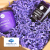 B_Violet+logo.png